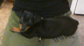 Timeline: The life of Ashley Martinez