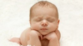 Timeline: biografia de nelson beltran