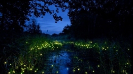 Timeline: siglo XVI y XVII