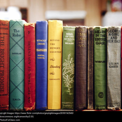 Timeline: Literacy  Project Overview