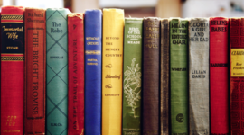 Timeline: Literacy  Project Overview