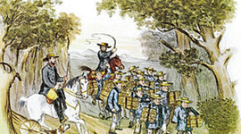 Timeline: Tragedy in Van Diemen's land