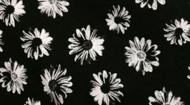 Timeline: Ciencias Sociales