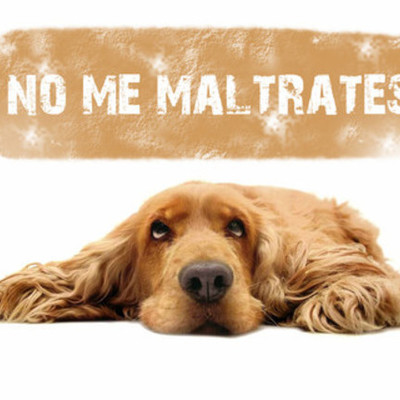 Timeline: El Maltrato Animal