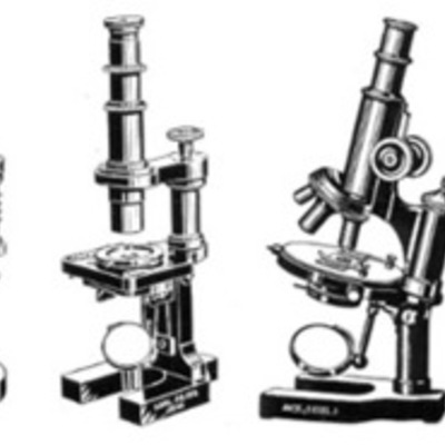 Timeline: History of the Microscope