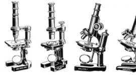Timeline: History of the Microscope