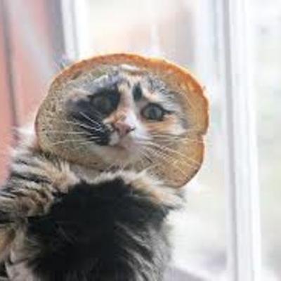 Timeline: How to make toast.