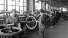 Timeline: Evolution of the Training Pofession