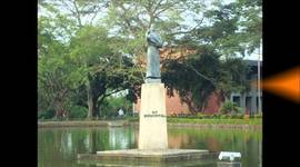 Timeline: Linea del tiempo USB