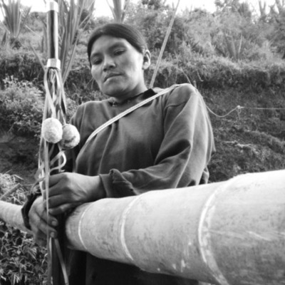 Timeline: La fuerza del ombligo