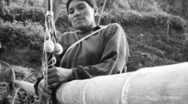 Timeline: La fuerza del ombligo