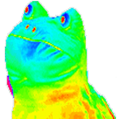 Timeline: Hitlers rise to power