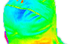 Timeline: Hitlers rise to power