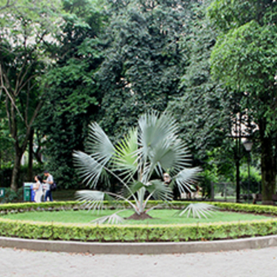 Timeline: ORIGEN Y NATURALEZA DE LAS UNIVERSIDADES