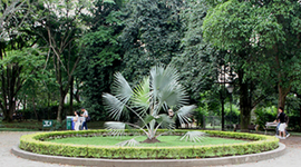 Timeline: ORIGEN Y NATURALEZA DE LAS UNIVERSIDADES