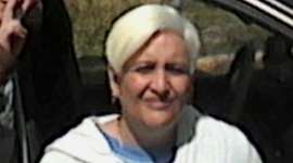 Timeline: una breve historia