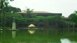 Timeline: origen de las universidades