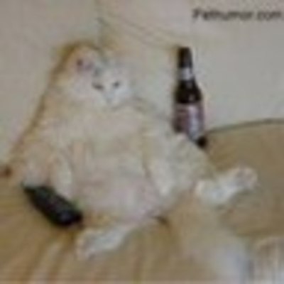 Timeline: Bad Moon on the Rise