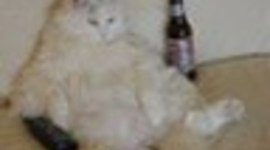 Timeline: Bad Moon on the Rise