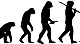 Timeline: DIVERSIDAD EN LA HISTORIA DE LA HUMANIDAD