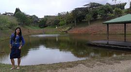 Timeline: ¿quien soy yo en 10 años?