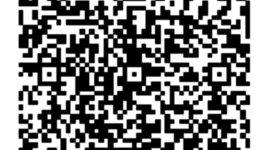 Timeline: Patricia Gabriela López Ramos