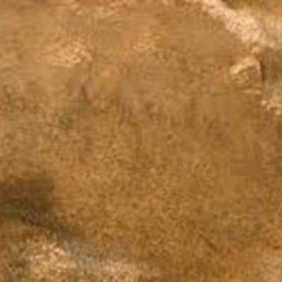 Timeline: The Enlightenment &Revolutions,1550-1800