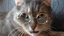 Timeline: Founding Influences