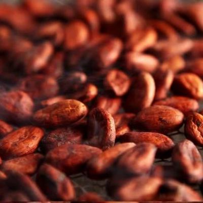 Timeline: CO - Proceso de tostado de cacao