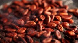 Timeline: CO - Proceso de tostado de cacao