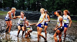 Timeline: 10 Year Reunion - Jenny Gibson