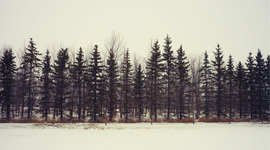 Timeline: Historia del correo electronico