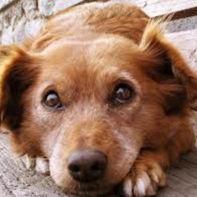 Timeline: 10 Years Timeline