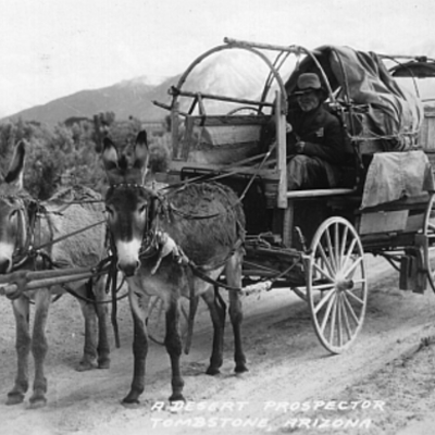 Timeline: The Western Migration