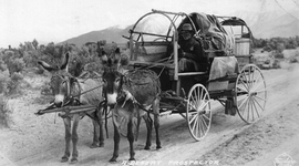 Timeline: The Western Migration