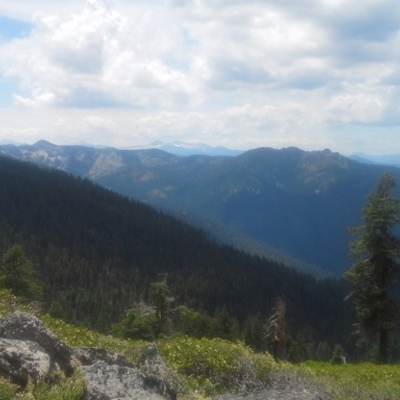 Timeline: Melissa's Summer