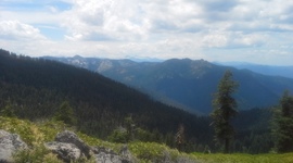 Timeline: Melissa's Summer