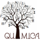 Logo quimica 2