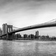 1 chadweisser nypanoramic bnw