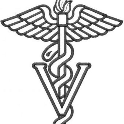 Timeline: Medicina preventiva y salud pública