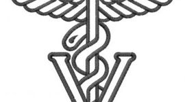 Timeline: Medicina preventiva y salud pública