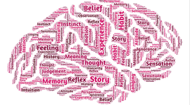 Timeline: The History of Psychology