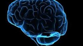 Timeline: Psychology Timeline