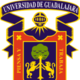 Logo universidad de guadalajara