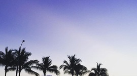 Timeline: Summer 2015