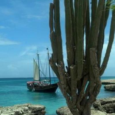 Timeline: Enjoying life to the fullest