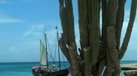 Timeline: Enjoying life to the fullest