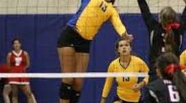 Timeline: Volleyball