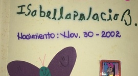 Timeline: La historia de mi vida