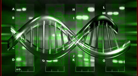 Timeline: generaciones de las computadoras